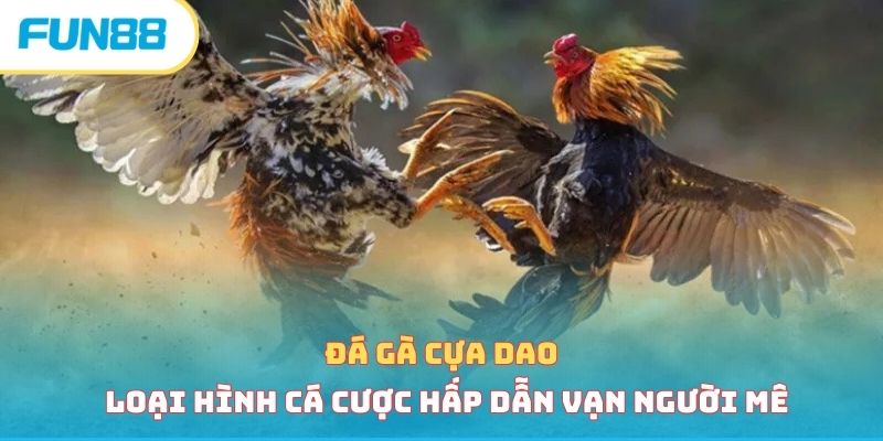 da ga cua dao anh dai dien